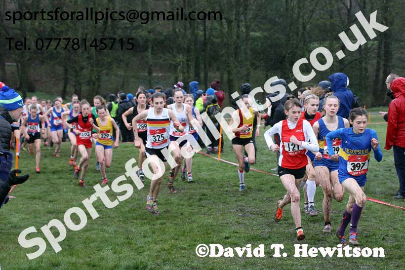 Junior girls 2019 New Balance English Schools Cross Country Champs, Temple Newsam, Leeds. Photo:  David T. Hewitson/Sports for All Pics